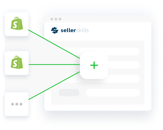 Shopify Stores at SellerSkills